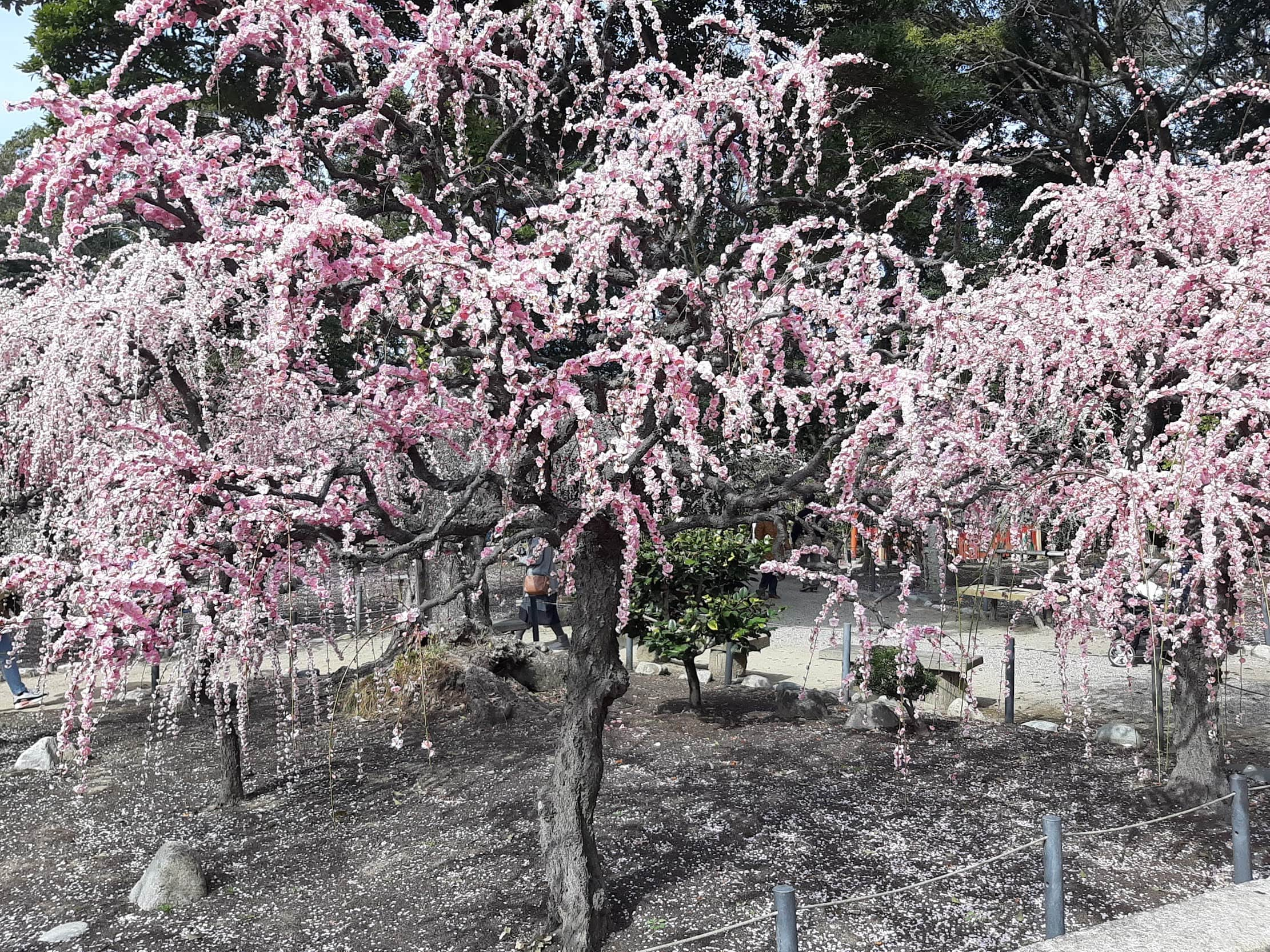 結城神社