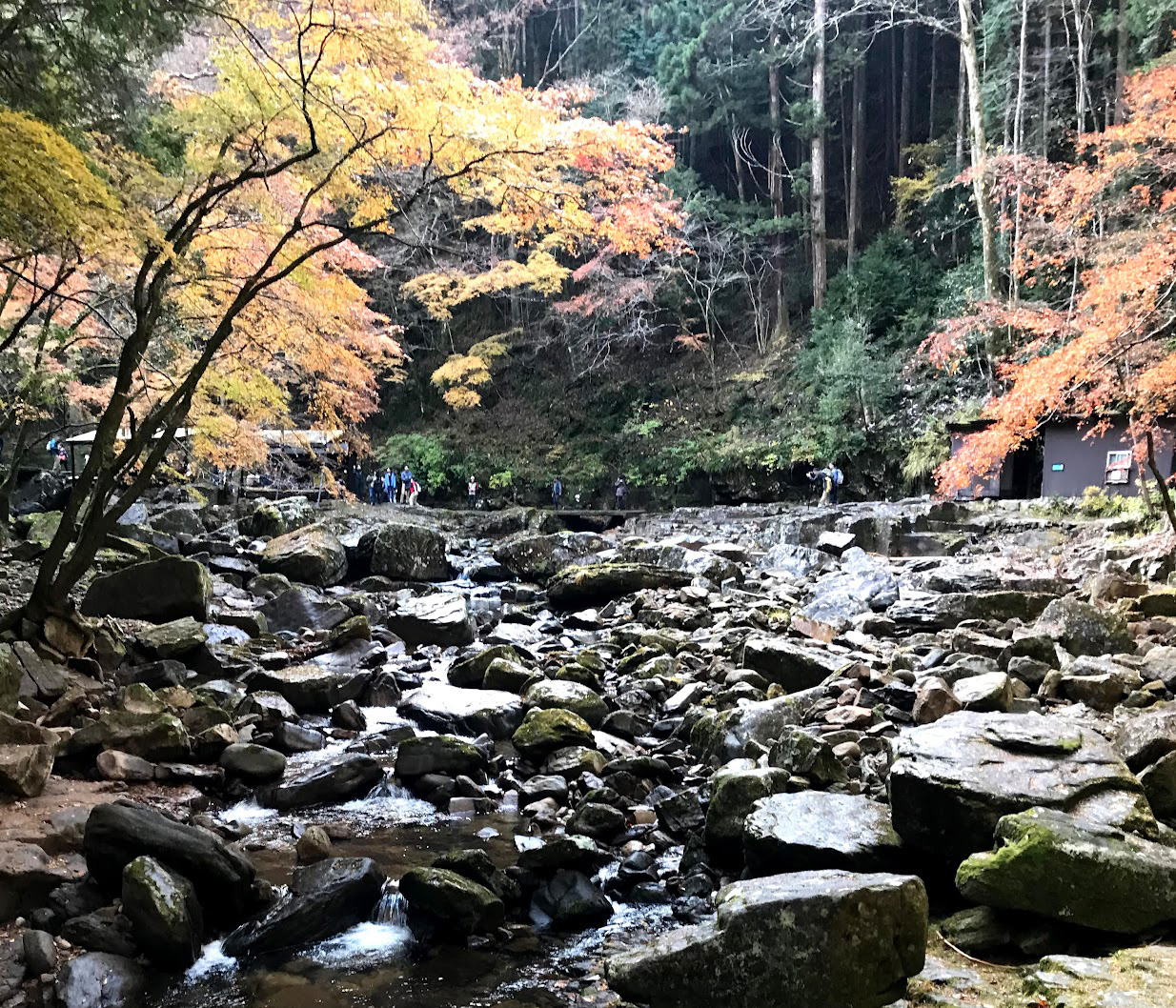 赤目四十八滝